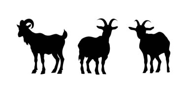 Keçi Siluetleri, Şirin Keçi Vektörü Siyah Görüntü Beyaz arkaplanda izole