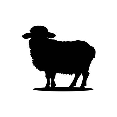 Koyun silueti. Koyun Vektörü İllüstrasyonu. Koyun silueti izole edilmiş vektör çizimi. Beyaz arkaplanda izole edilmiş basit tasarım.