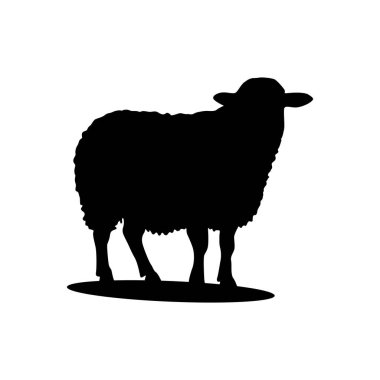 Koyun silueti. Koyun Vektörü İllüstrasyonu. Koyun silueti izole edilmiş vektör çizimi. Beyaz arkaplanda izole edilmiş basit tasarım.