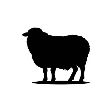 Koyun silueti. Koyun Vektörü İllüstrasyonu. Koyun silueti izole edilmiş vektör çizimi. Beyaz arkaplanda izole edilmiş basit tasarım.
