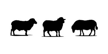 Koyun silueti. Koyun Vektörü İllüstrasyonu. Koyun silueti izole edilmiş vektör çizimi. Beyaz arkaplanda izole edilmiş basit tasarım.