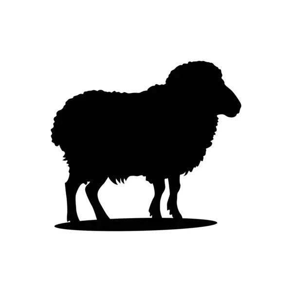 Koyun silueti. Koyun Vektörü İllüstrasyonu. Koyun silueti izole edilmiş vektör çizimi. Beyaz arkaplanda izole edilmiş basit tasarım.