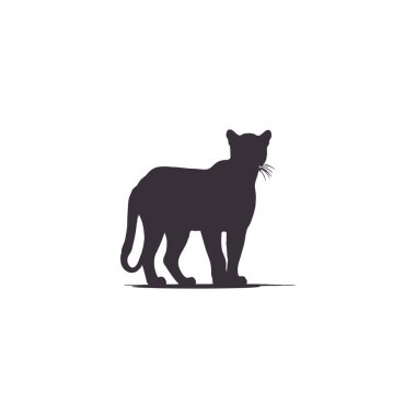 Siyah panter silueti. Vektör yaban kedisi çizimi. Beyaz arka planda logo, maskot ya da dövme olarak izole edilmiş yırtıcı hayvan..
