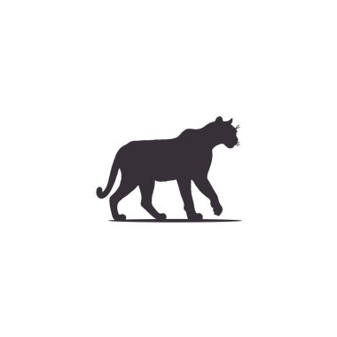 Siyah panter silueti. Vektör yaban kedisi çizimi. Beyaz arka planda logo, maskot ya da dövme olarak izole edilmiş yırtıcı hayvan..