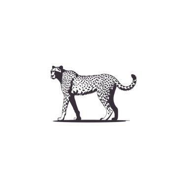 Çita siluetleri vektör tasarımı, çita siyah siluet vektör sanatı beyaz arkaplanlı illüstrasyon