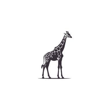 Giraffe silhouette. Giraffe black icon on white background clipart