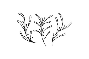 Floral branch and minimalist leaves for logo or tattoo. Hand drawn line wedding herb, elegant wildflowers. Minimal line art drawing for print, cover or wallpaper