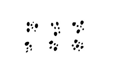 Elle çizilmiş sevimli çizgi film ifadesinin vektör kümesi karalama çizgisi vuruşu. hareket çizimi, eğri yön okları, emoticon efektleri tasarım elemanları, çizgi film karakteri duygu sembolleri,