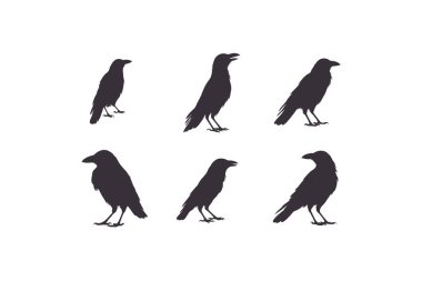 Beyaz arka planda izole edilmiş siluet kuş sürüsü