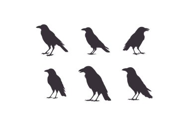 Beyaz arka planda izole edilmiş siluet kuş sürüsü