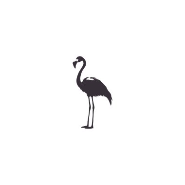 Flamingo Siluet illüstrasyon Vektör Tasarımı 6 bohça dosyası