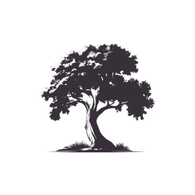 Silhouette trees flat vector illustrations set. Exotic beach plants isolated design elements pack. Green leaves branches and trunks cartoon collection on white background.