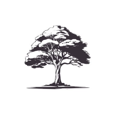 Silhouette trees flat vector illustrations set. Exotic beach plants isolated design elements pack. Green leaves branches and trunks cartoon collection on white background.