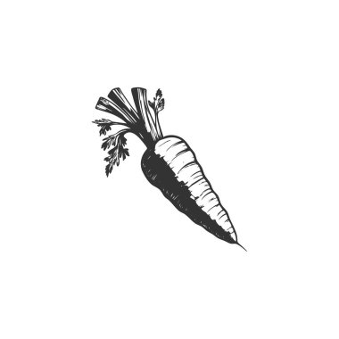 flat line carrot icon. Logo element illustration. carrot design. vector eps 10 . carrot concept. Can be used in web and mobile . 