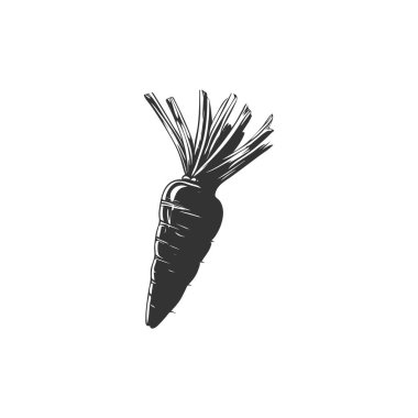 flat line carrot icon. Logo element illustration. carrot design. vector eps 10 . carrot concept. Can be used in web and mobile . 