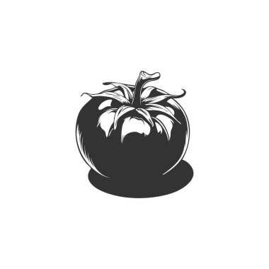 Tomato icon vector illustration. Tomato symbol isolated on white background.