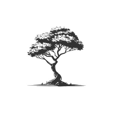 İzole ağaç siluetleri. Orman bitkilerinin kara çizimi. Park yeri elemanları. Doğal manzara için grafiksel sanatlar. Bahçe tasarımı elementleri Vektör illüstrasyonu