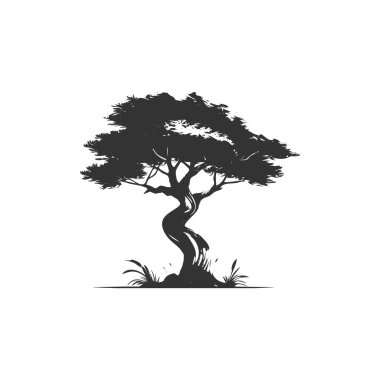 İzole ağaç siluetleri. Orman bitkilerinin kara çizimi. Park yeri elemanları. Doğal manzara için grafiksel sanatlar. Bahçe tasarımı elementleri Vektör illüstrasyonu