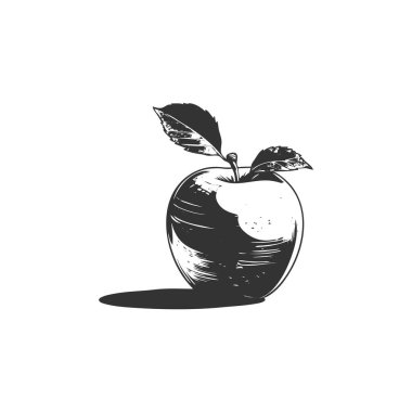 Elma simgesi seti. Elma vektör simgesi. Web tasarımınız için elma sembolleri.