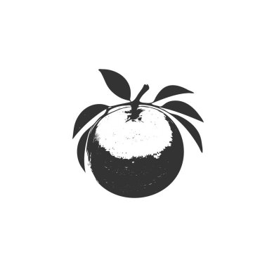 Citrus fruit slice icons. Orange slice shape set. Citrus black symbol collection. Citrus fruit whole, half and pieces silhouettes.