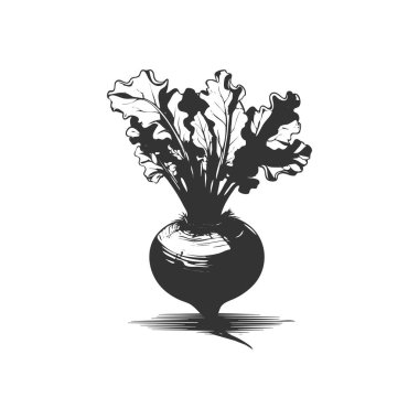 beetroot icon. beetroot vegetable symbol template for graphic and web design collection logo vector illustration