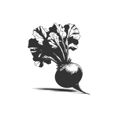 beetroot icon. beetroot vegetable symbol template for graphic and web design collection logo vector illustration