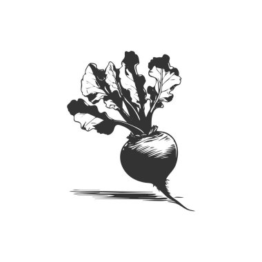 beetroot icon. beetroot vegetable symbol template for graphic and web design collection logo vector illustration