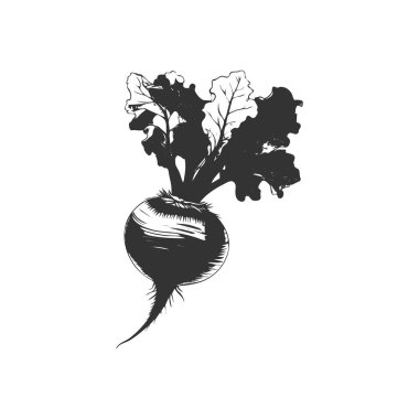 beetroot icon. beetroot vegetable symbol template for graphic and web design collection logo vector illustration