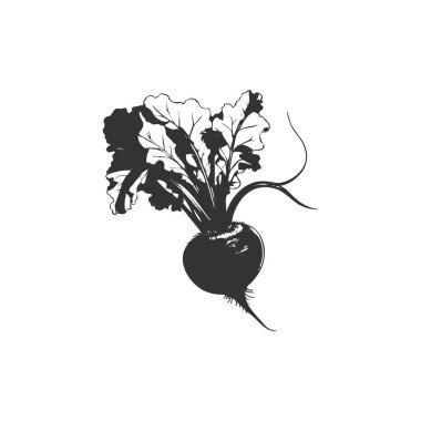 beetroot icon. beetroot vegetable symbol template for graphic and web design collection logo vector illustration