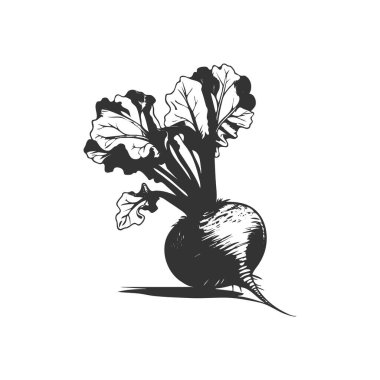 beetroot icon. beetroot vegetable symbol template for graphic and web design collection logo vector illustration