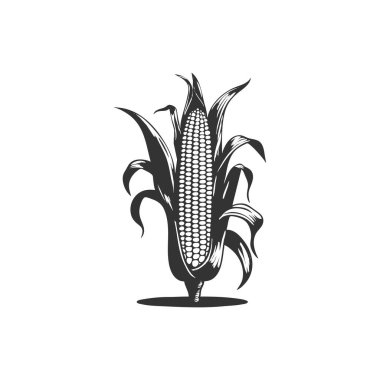 Corn Vector Line Icon Design