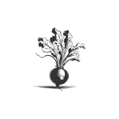 Turp bitki sebze çiftliği en az düz çizgi anahat renkli ve kontur simgesini piktogram