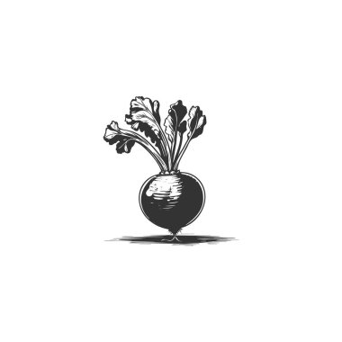 Turp bitki sebze çiftliği en az düz çizgi anahat renkli ve kontur simgesini piktogram