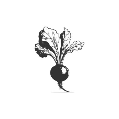 Turp bitki sebze çiftliği en az düz çizgi anahat renkli ve kontur simgesini piktogram