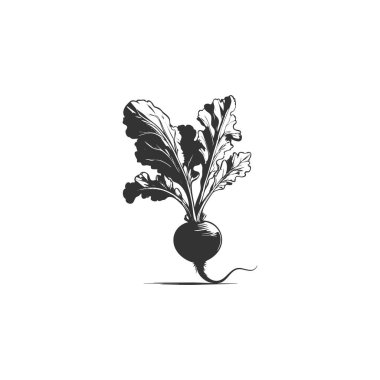 Turp bitki sebze çiftliği en az düz çizgi anahat renkli ve kontur simgesini piktogram