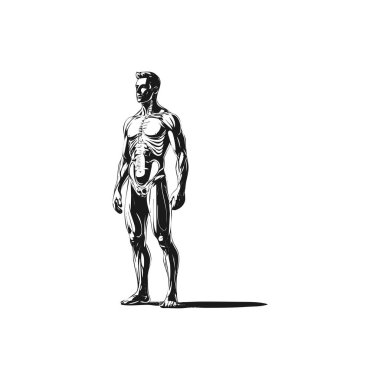 Silüet tasarım elementleri beyaz arkaplanda izole, evrensel için basit tasarım.