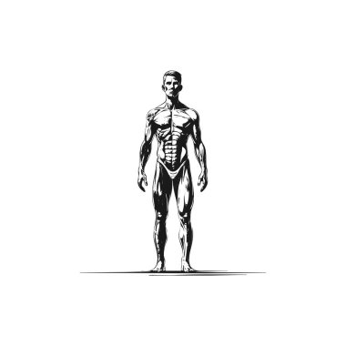 Silüet tasarım elementleri beyaz arkaplanda izole, evrensel için basit tasarım.