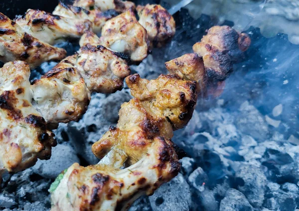Barbecue Csirke Nyársra Grill — Stock Fotó