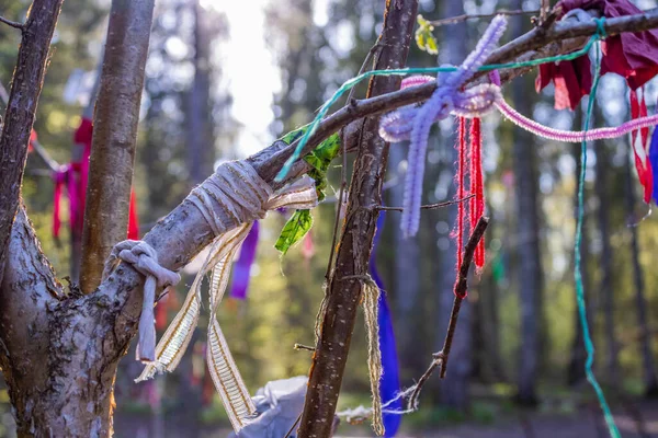 stock image ribbons on the wishing tree