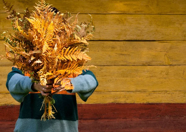 秋天的一个阳光明媚的日子 一束不同颜色的蕨类植物 在一座古老的木头房子的背景下 由女性手中拿着 — 图库照片