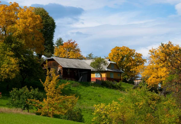 stock image A wooden house and a barn surrounded by green grass and trees on a mountain slope in the village of the Ukrainian Carpathians