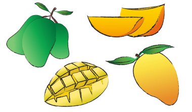 Mango izole vektörü beyaz arkaplanda, meyve çizgisi sanat vektörü izole