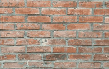 Brick wall texture vector background. closeup brick wall surface