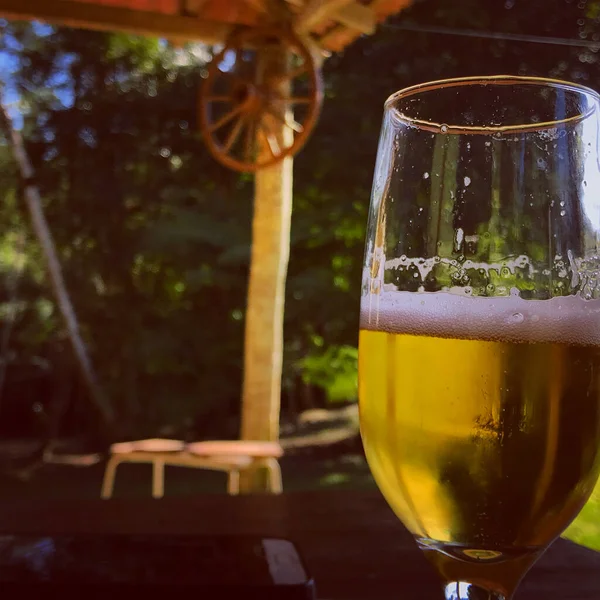 Close Van Een Glas Koud Blond Bier Boerderij Recanto Rodrigues — Stockfoto
