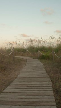 Akdeniz 'deki ıssız bir kumsalın korunmuş kumullarının yanındaki tahta patika.