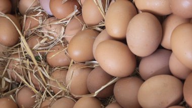 Organik gıda pazarında açık kahverengi organik yumurtalar.