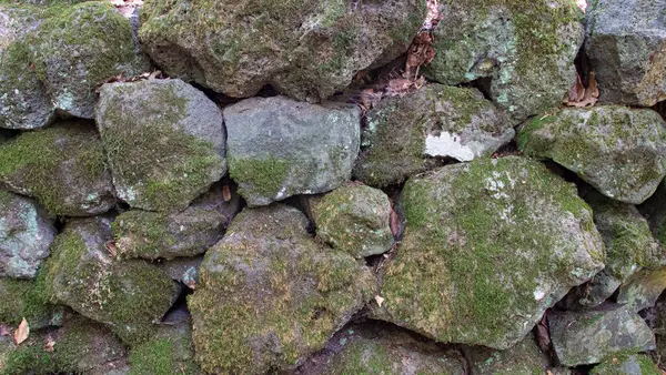 Detail Stone Fence Mortar Joints Moss Has Grown Surface — Stock Photo, Image