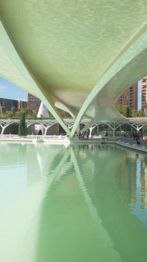 Valencia Sanat ve Bilim Köprüsü (İspanya))