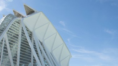 Valencia 'daki Sanat ve Bilim Müzesi' nin (İspanya) detayları)