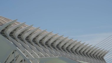 Sanat ve Bilim Şehri 'nin binasının detayları..